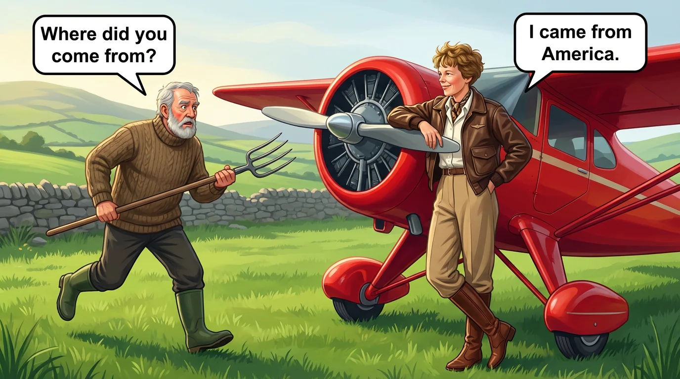 Illustration for: Landing in an Irish Field